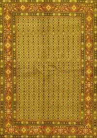 Persian Yellow Traditional Rug, tr954yw