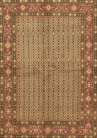 Persian Brown Traditional Rug, tr954brn
