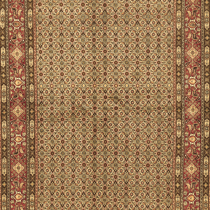 Persian Brown Traditional Rug, tr954brn