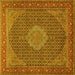 Square Machine Washable Persian Yellow Traditional Rug, wshtr955yw