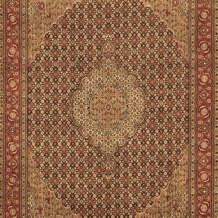 Persian Brown Traditional Rug, tr955brn