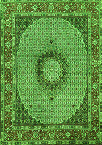 Medallion Green Traditional Rug, tr956grn