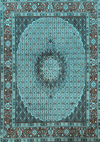 Medallion Light Blue Traditional Rug, tr956lblu