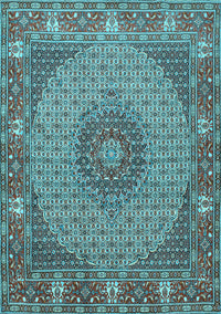 Medallion Light Blue Traditional Rug, tr957lblu