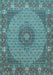 Medallion Light Blue Traditional Rug, tr957lblu