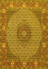 Medallion Yellow Traditional Rug, tr957yw