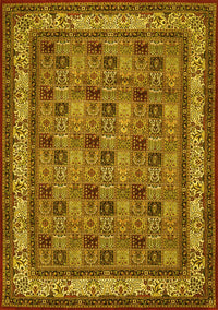 Persian Yellow Traditional Rug, tr959yw
