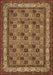 Persian Brown Traditional Rug, tr959brn