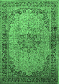 Persian Emerald Green Traditional Rug, tr95emgrn