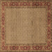 Square Persian Brown Traditional Rug, tr960brn