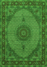 Medallion Green Traditional Rug, tr962grn