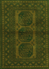 Southwestern Green Country Rug, tr964grn