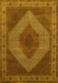 Persian Yellow Traditional Rug, tr965yw