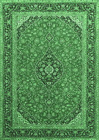 Persian Emerald Green Traditional Rug, tr966emgrn