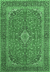 Persian Emerald Green Traditional Rug, tr968emgrn