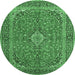 Round Persian Emerald Green Traditional Rug, tr968emgrn