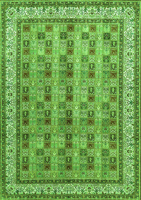 Persian Green Traditional Rug, tr969grn
