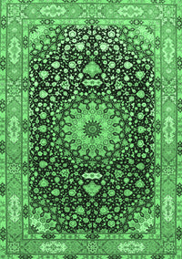 Medallion Emerald Green Traditional Rug, tr96emgrn