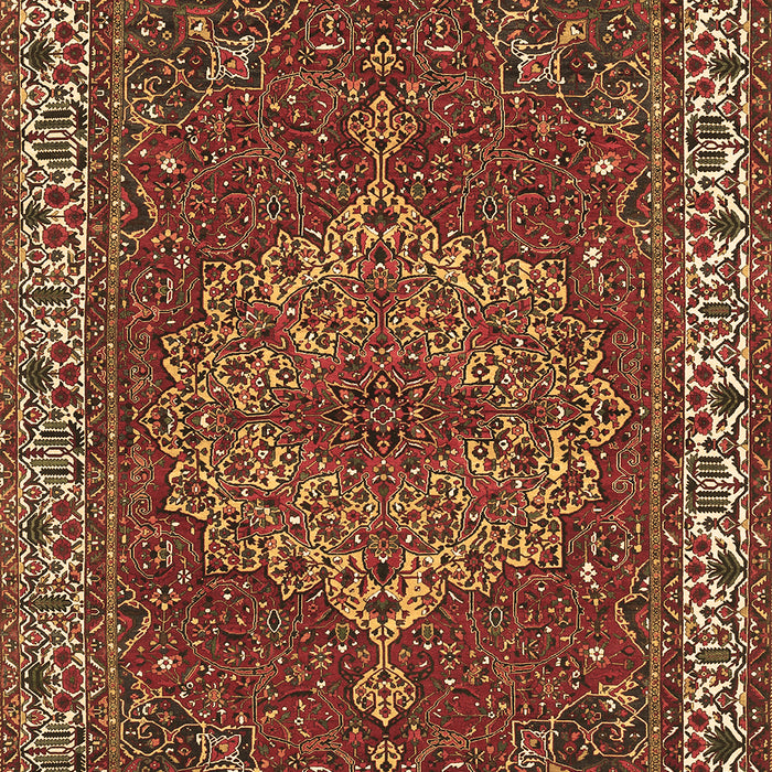 Persian Brown Traditional Rug, tr970brn