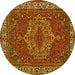 Round Machine Washable Persian Yellow Traditional Rug, wshtr970yw