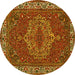 Round Persian Yellow Traditional Rug, tr970yw