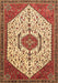 Persian Brown Traditional Rug, tr971brn