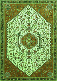 Persian Green Traditional Rug, tr971grn