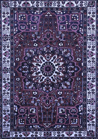 Persian Blue Traditional Rug, tr972blu