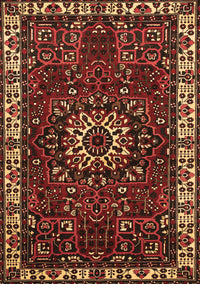 Persian Brown Traditional Rug, tr972brn