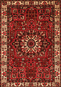 Persian Orange Traditional Rug, tr972org