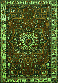 Persian Green Traditional Rug, tr972grn