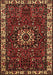 Machine Washable Persian Brown Traditional Rug, wshtr972brn