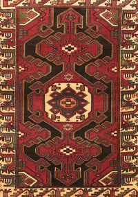 Persian Brown Traditional Rug, tr975brn
