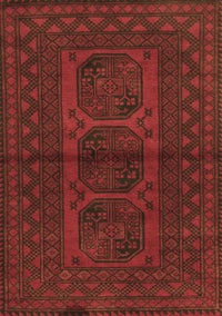 Southwestern Brown Country Rug, tr978brn