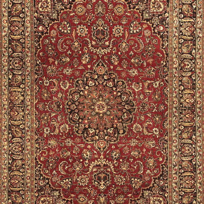 Persian Brown Traditional Rug, tr979brn