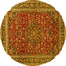 Round Machine Washable Persian Yellow Traditional Rug, wshtr979yw