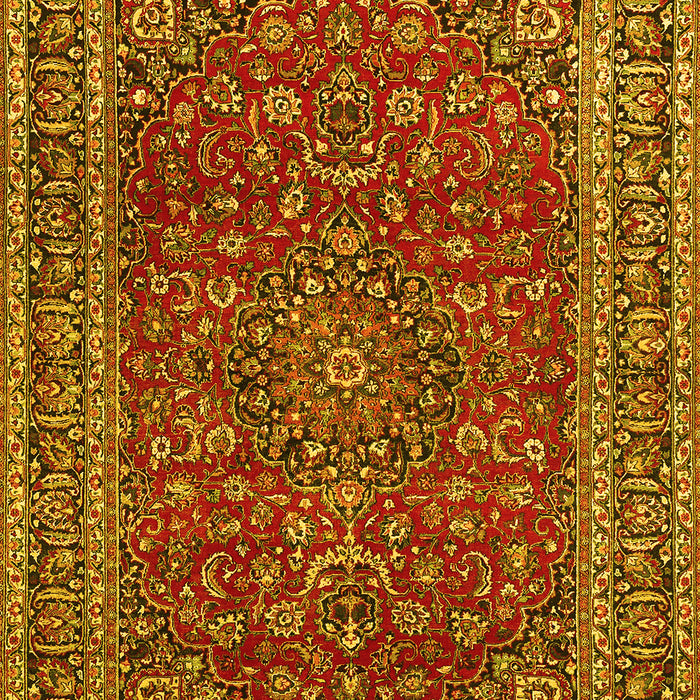 Persian Yellow Traditional Rug, tr979yw