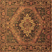 Square Machine Washable Persian Brown Traditional Rug, wshtr97brn