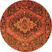 Square Persian Orange Traditional Rug, tr97org