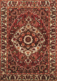 Persian Brown Traditional Rug, tr980brn