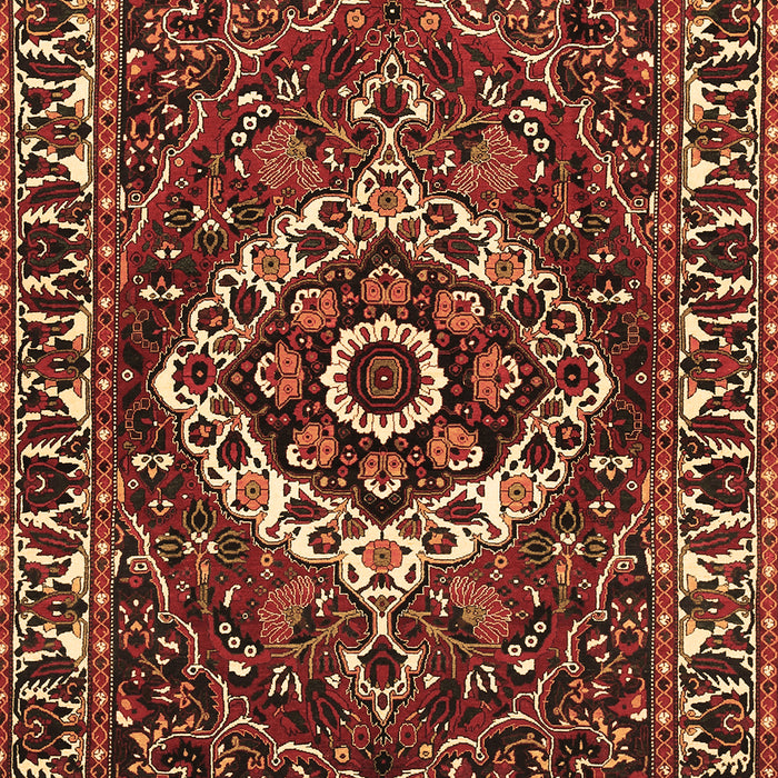 Persian Brown Traditional Rug, tr980brn