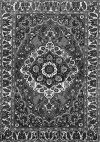 Persian Gray Traditional Rug, tr980gry