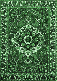 Persian Emerald Green Traditional Rug, tr980emgrn