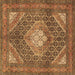 Square Machine Washable Persian Brown Traditional Rug, wshtr981brn