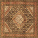 Square Persian Brown Traditional Rug, tr981brn