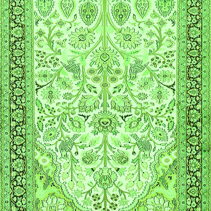 Persian Green Traditional Rug, tr985grn