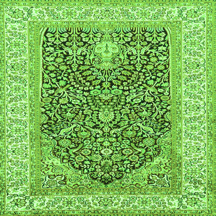 Round Machine Washable Animal Green Traditional Area Rugs, wshtr987grn