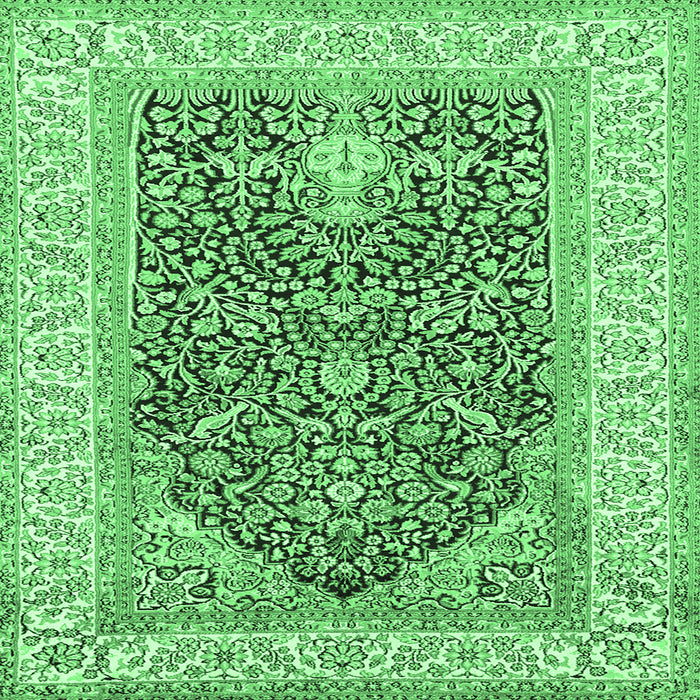 Square Machine Washable Animal Emerald Green Traditional Area Rugs, wshtr987emgrn