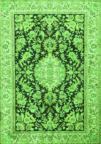 Medallion Green Traditional Rug, tr988grn