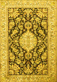 Medallion Yellow Traditional Rug, tr988yw